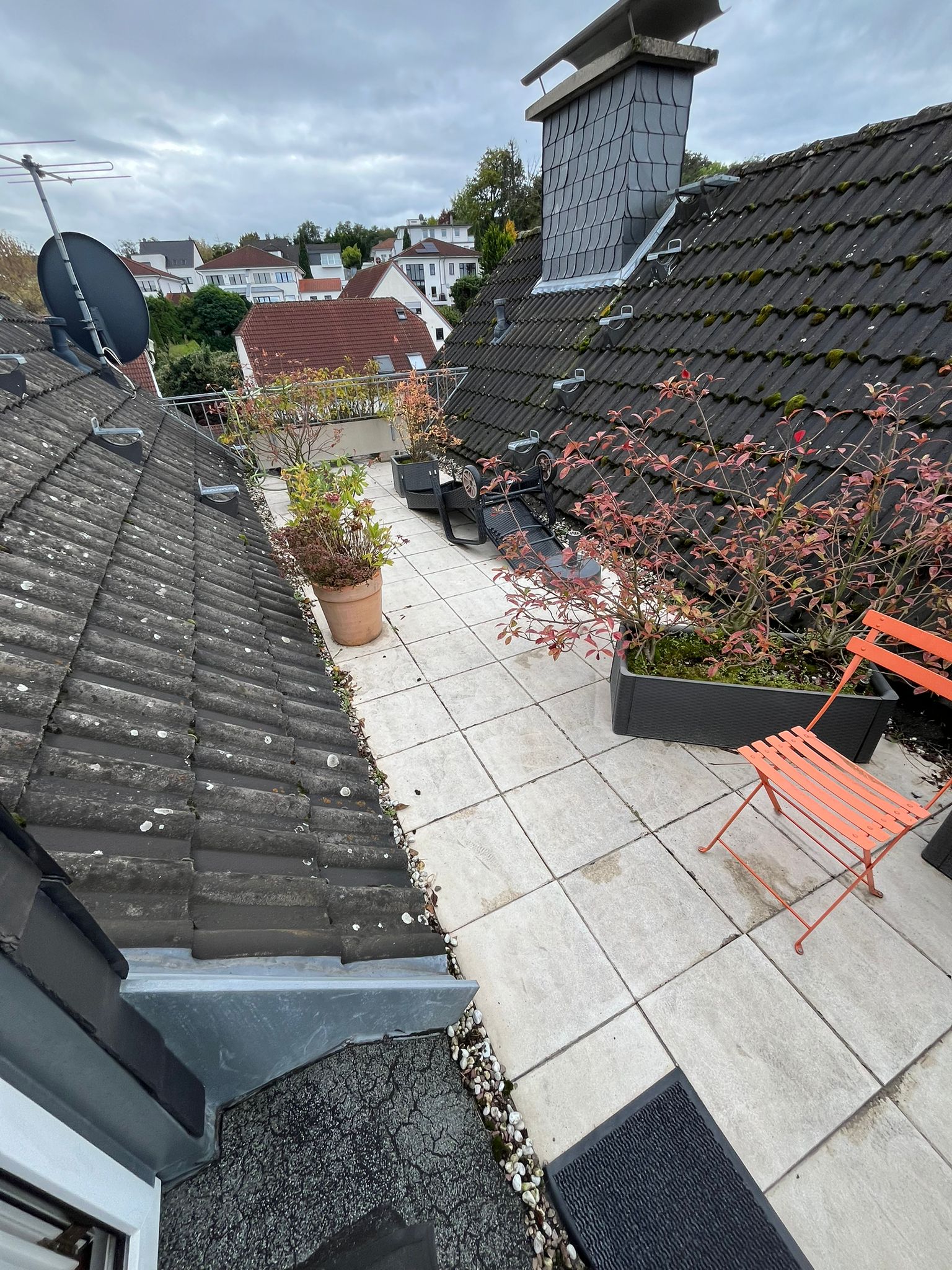 Dachterrasse nachher